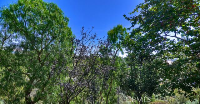 One of the very few locations with privacy and open space. - 6 Corniche Drive F, Dana Point CA 92629 - photo 1