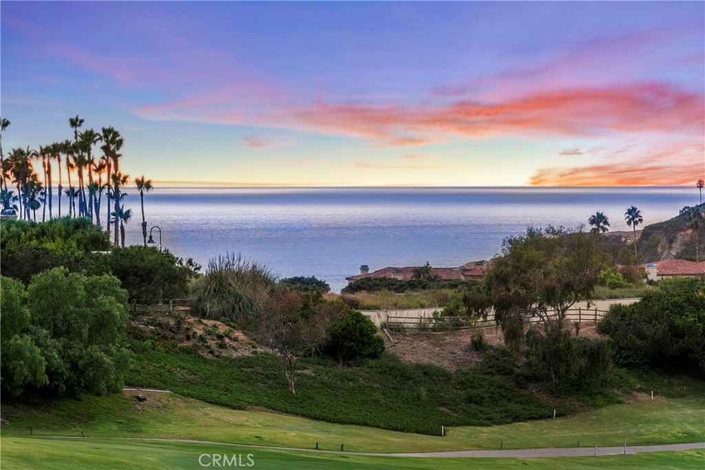 THIS IS YOUR VIEW! - 6 Monarch Beach Resort S, Dana Point CA 92629 - photo 1