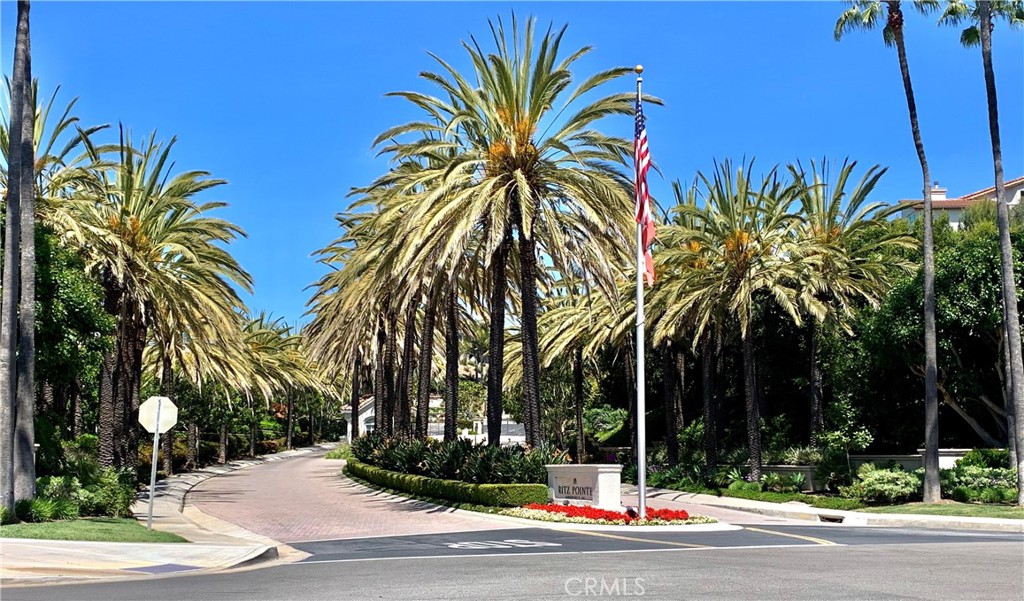 Guard Gated Ritz Pointe. - 60 Corniche Drive D, Dana Point CA 92629 - photo 1