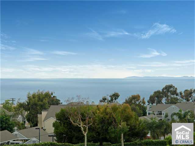 Ocean Views - 65 PALM BEACH Circle, Dana Point CA 92629 - photo 1