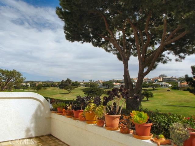 Spacious Patio with 180 pano views - 66 Tennis Villas Drive, Dana Point CA 92629 - photo 1
