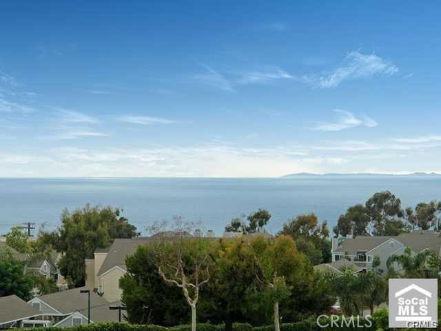 View from Deck - 67 Palm Beach Court, Dana Point CA 92629 - photo 1