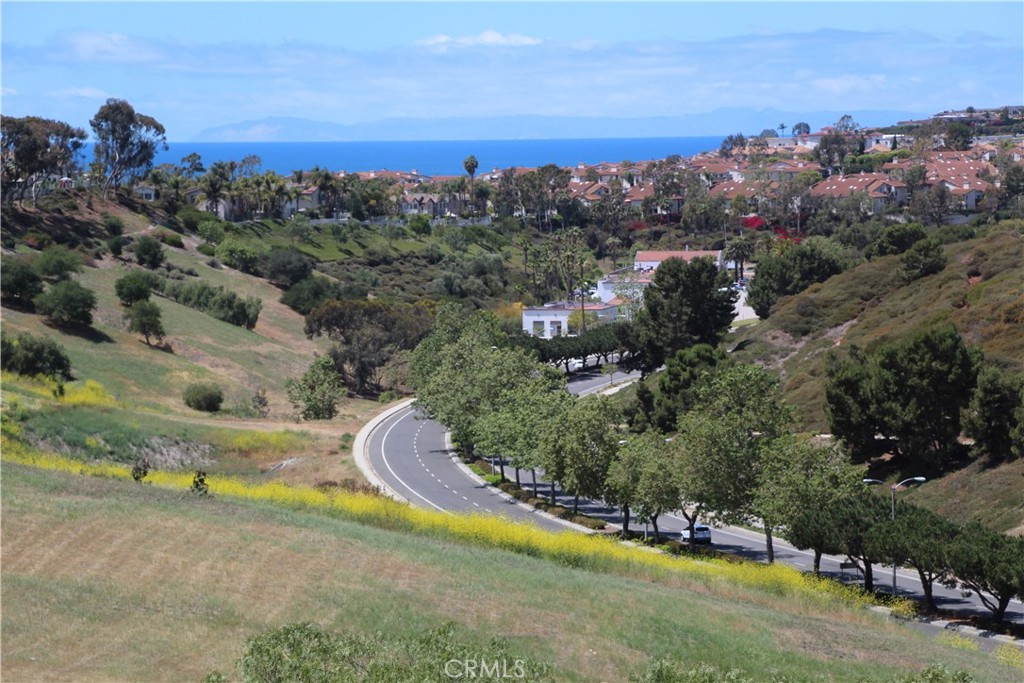 Ocean and open sky view! - 7 Sunbridge Road, Dana Point CA 92677 - photo 1