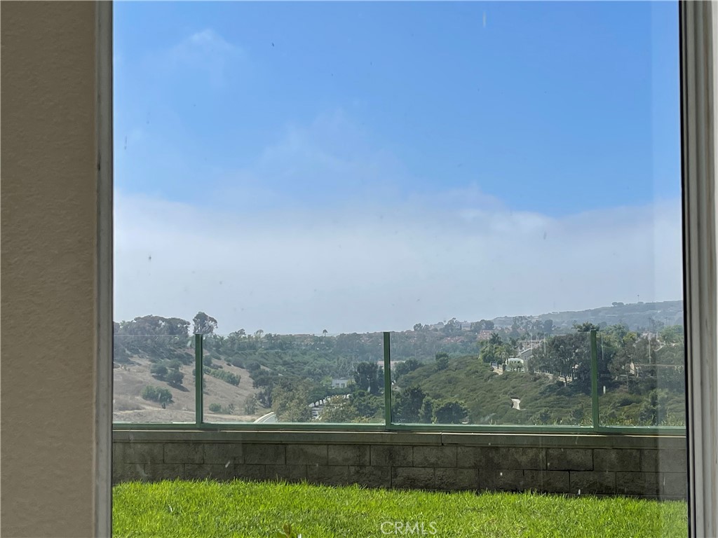 On a clear day this is all ocean views! - 7 Tawny Prt, Dana Point CA 92629 - photo 1