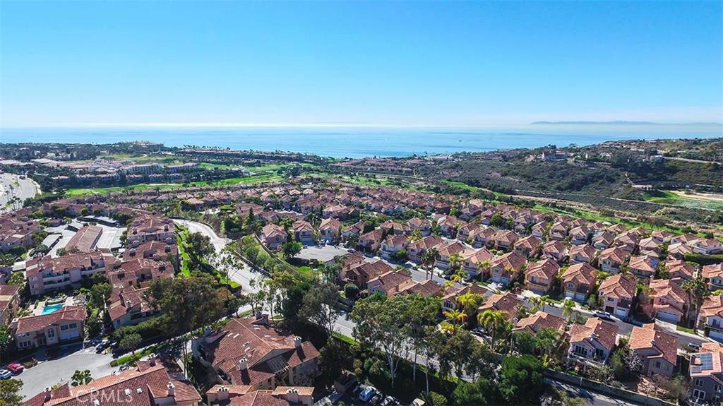 Live in the paradise! - 70 Corniche Drive D, Dana Point CA 92629 - photo 1