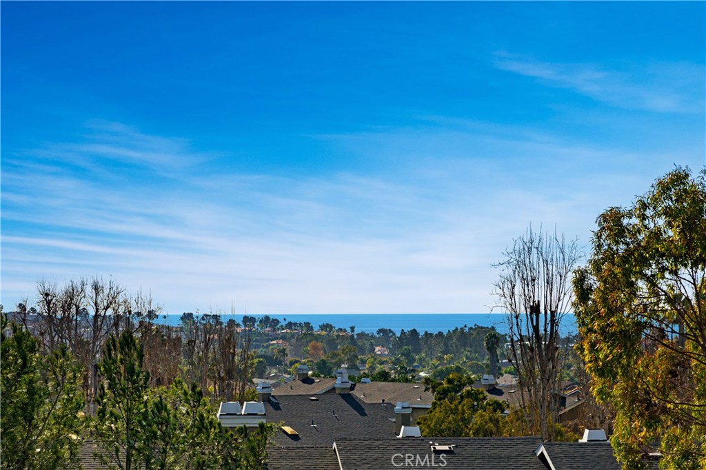 Stunning Ocean View - 72 Terra Vista, Dana Point CA 92629 - photo 1