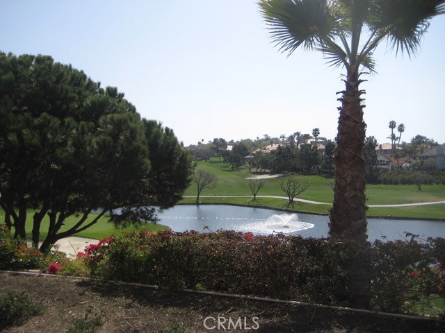 Fabulous View off patio of the pond and fountain. - 74 Tennis Villas Drive, Dana Point CA 92629 - photo 1