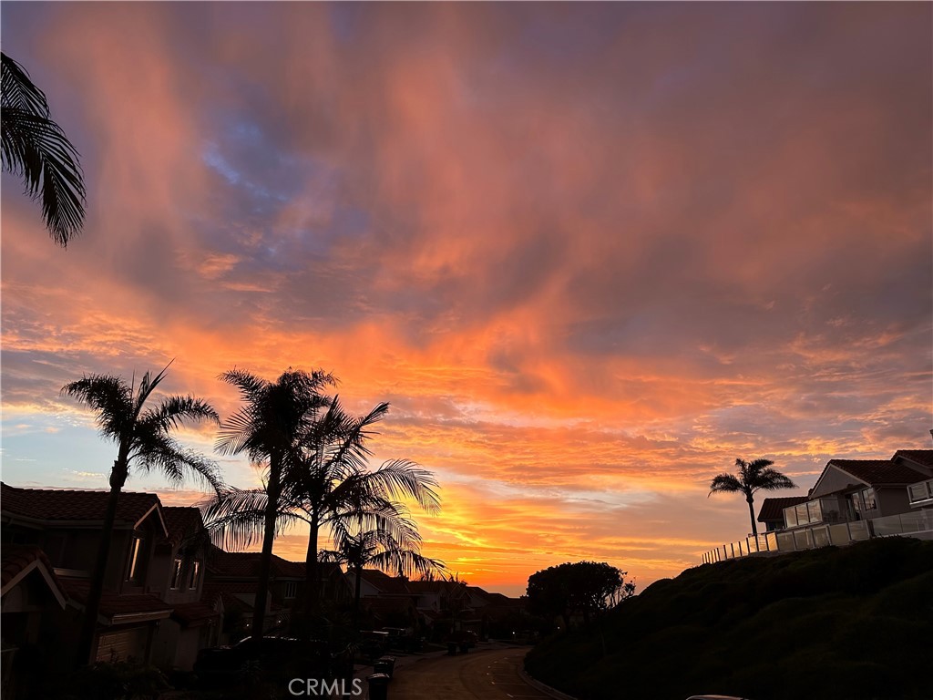 75 Palm Beach Court, Dana Point CA 92629 - photo 41
