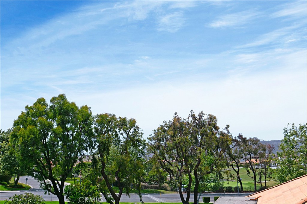 Beautiful view - 8 Tirremia Drive, Dana Point CA 92629 - photo 1