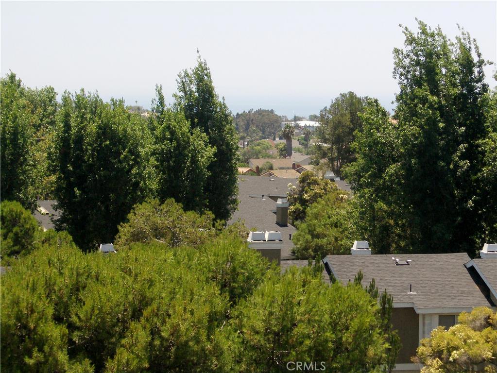Views and Ocean View - 80 Terra, Dana Point CA 92629 - photo 1