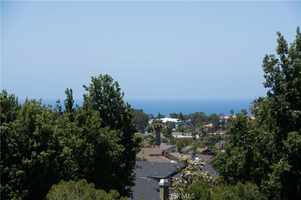 Ocean Views - 80 Terra Vista, Dana Point CA 92629 - photo 1