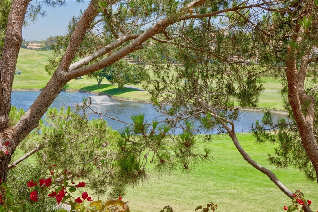 Golf Course and Pond View from your patio. - 82 Tennis Villas Drive, Dana Point CA 92629 - photo 1