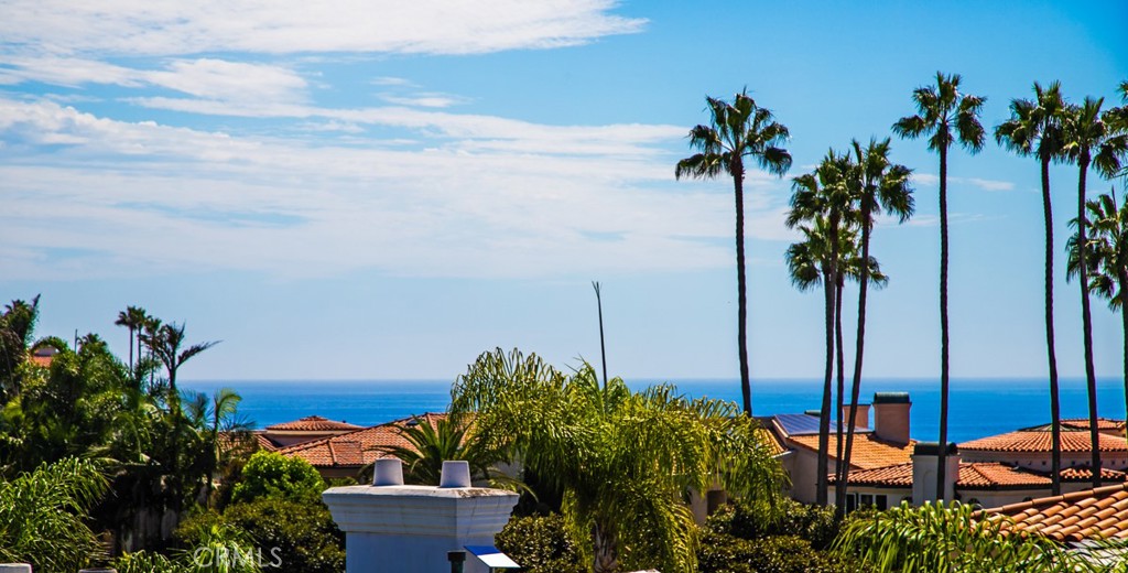 96 Ritz Cove Drive, Dana Point CA 92629 - photo 39