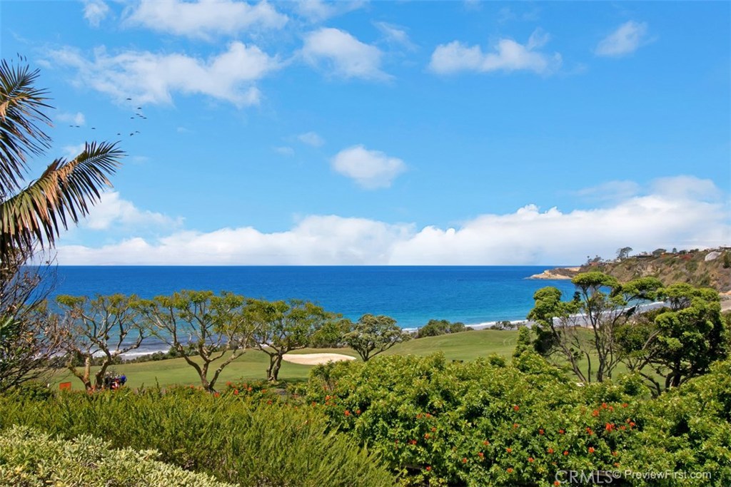 97 Ritz Cove Drive, Dana Point CA 92629 - photo 43