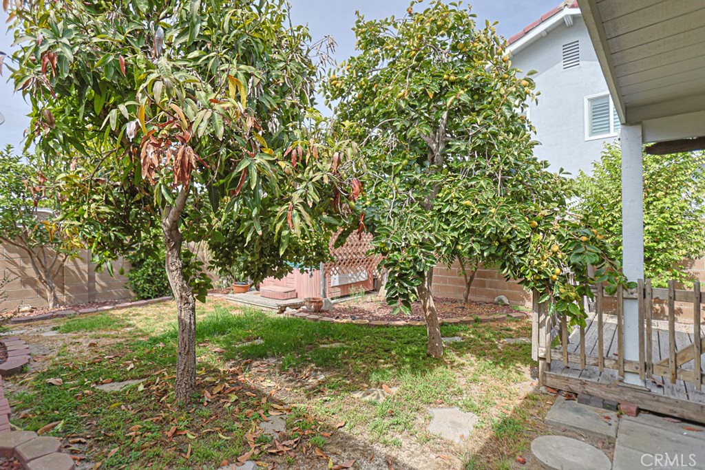 Backyard with Fruit Trees - 16404 Ponderosa St., Fountain Valley CA 92708 - photo 22