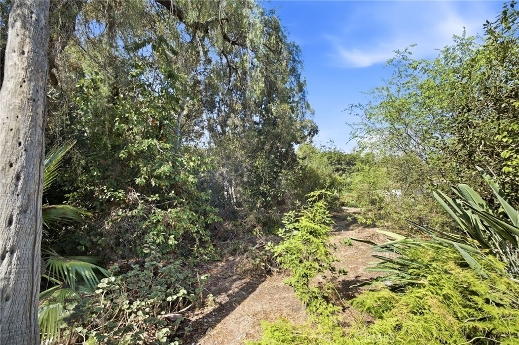 1019 Grandview, Fullerton CA 92835 - photo 33