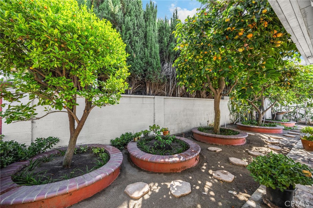 Mature Fruit Trees - 1500 S Locust, Fullerton CA 92833 - photo 6