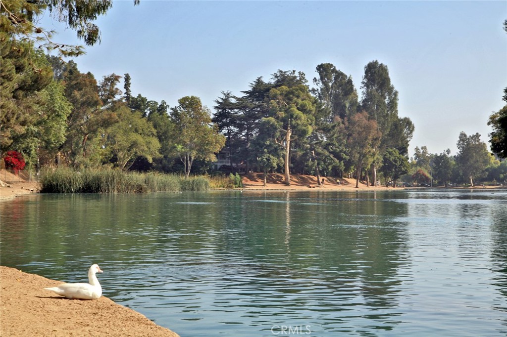 3201 Lakeknoll Drive, Fullerton CA 92835 - photo 46