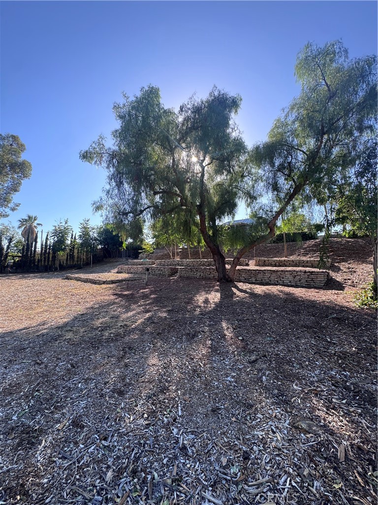 724 Stephens Avenue, Fullerton CA 92833 - photo 9