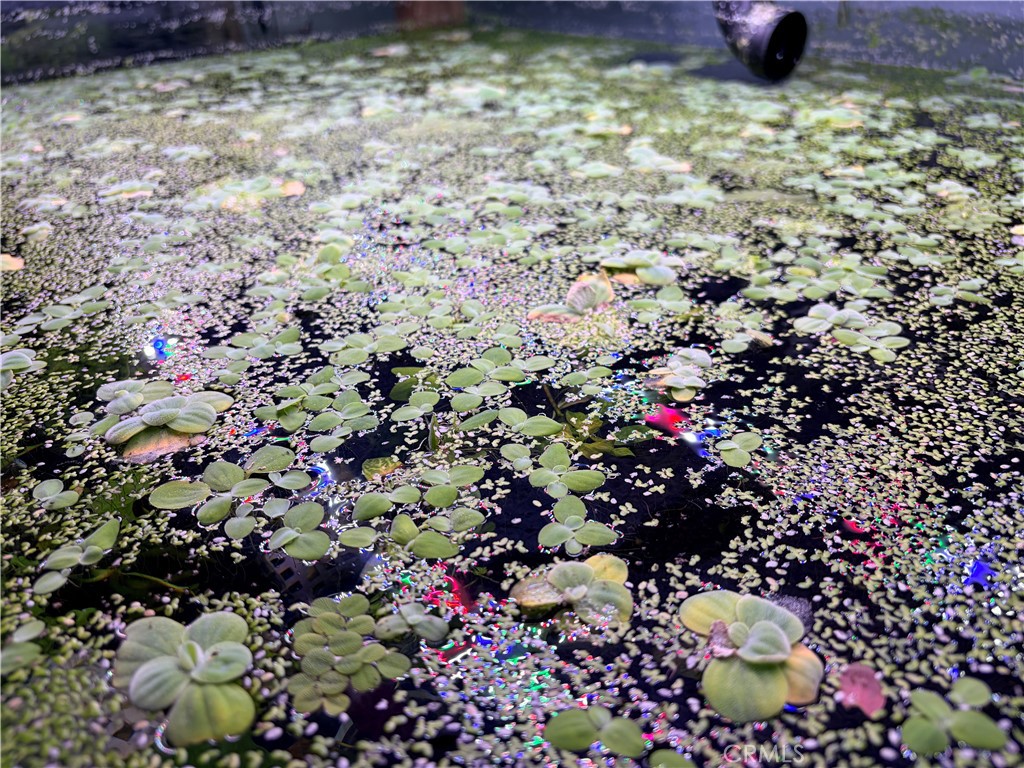 12152 Brookhurst Street, Garden Grove CA 92840 - photo 12