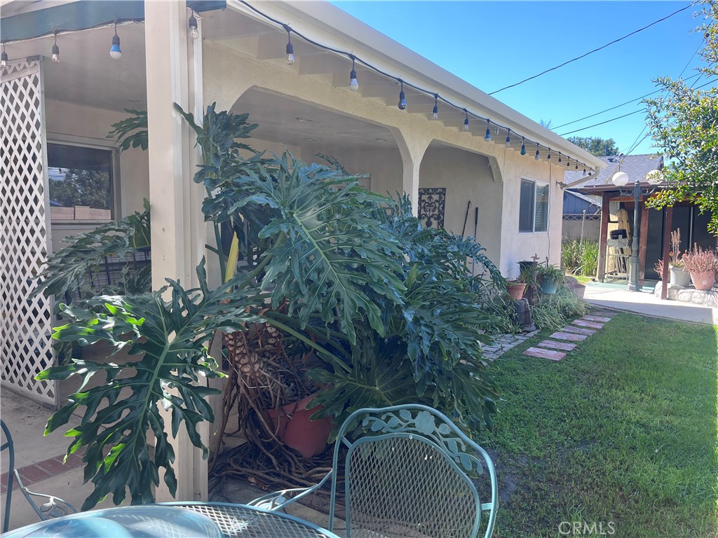 grass area with abundant fruit trees - 12581 Cardinal Avenue, Garden Grove CA 92843 - photo 5