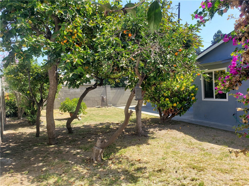 6871 CHAPMAN, Garden Grove CA 92845 - photo 21