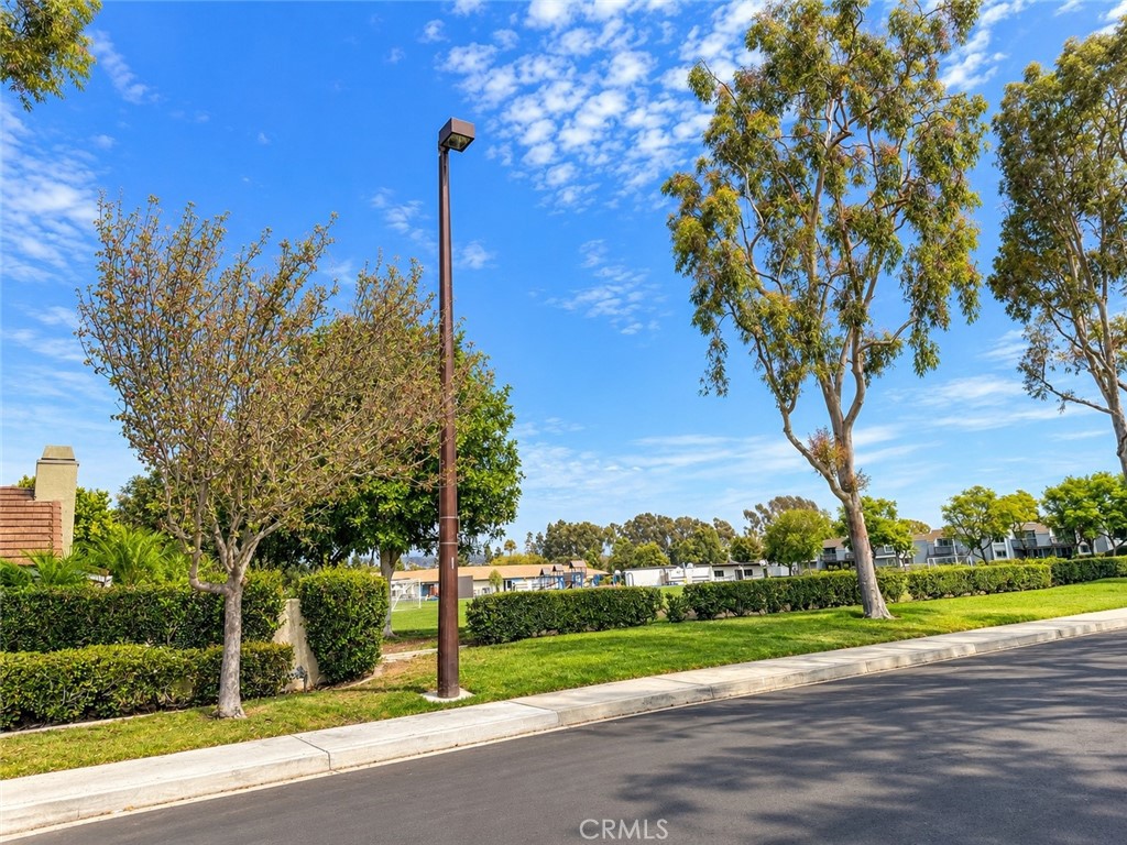 View from the driveway - 11 Beechwood, Irvine CA 92604 - photo 25