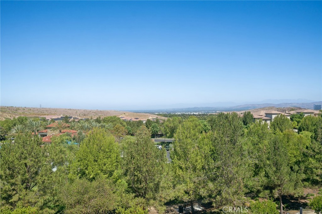 View from 2nd floor Bonus and Primary Suite - 111 Shady Arbor, Irvine CA 92618 - photo 28