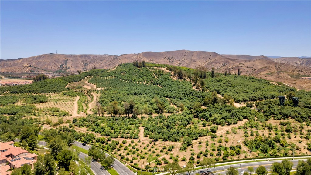 Outside the Portola gate--what a view. - 128 Talmadge, Irvine CA 92602 - photo 36