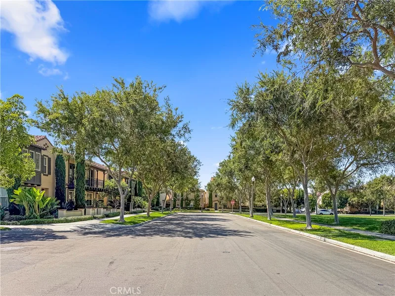 138 Velvet Flower, Irvine
