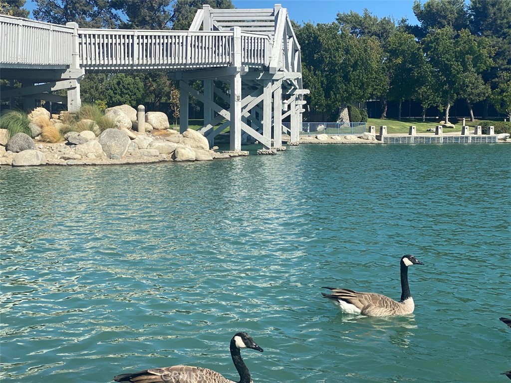 Scenic Woodbridge lake and waterfront setting. - 14 Greenleaf, Irvine CA 92604 - photo 46