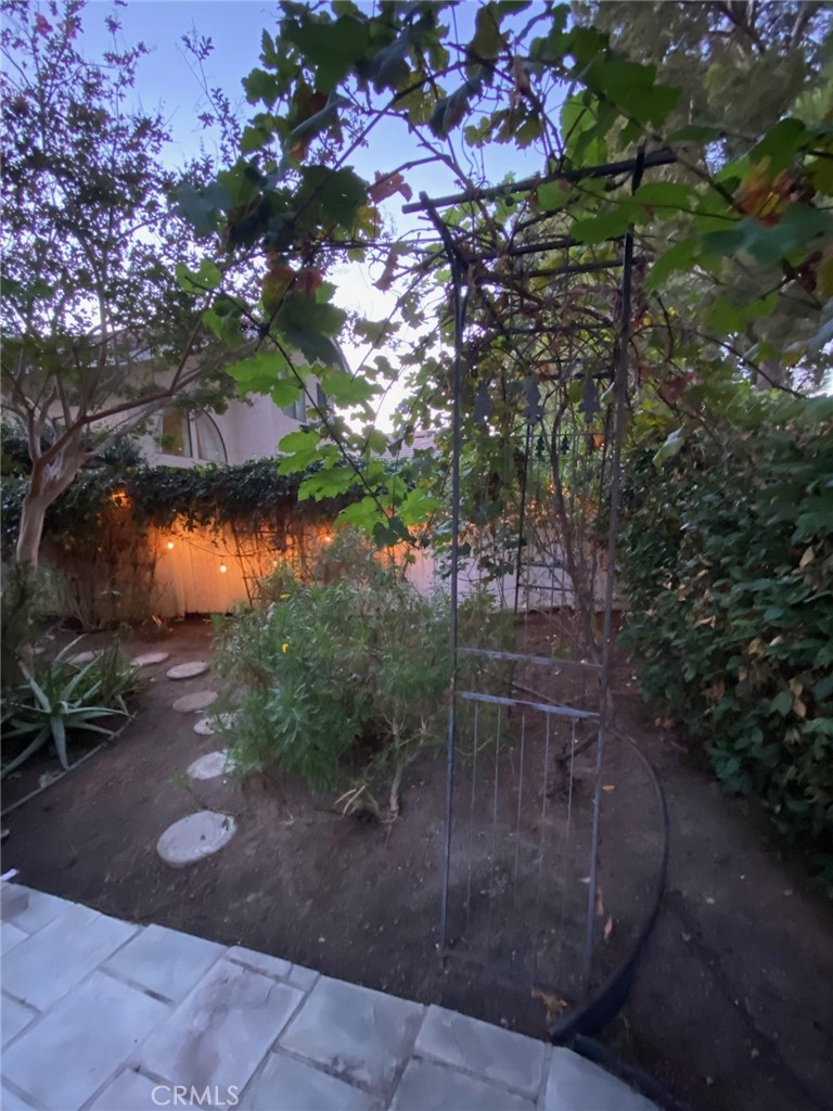 Dusk in your backyard & grape vines! - 14 Rainbow Lk 3, Irvine CA 92614 - photo 41