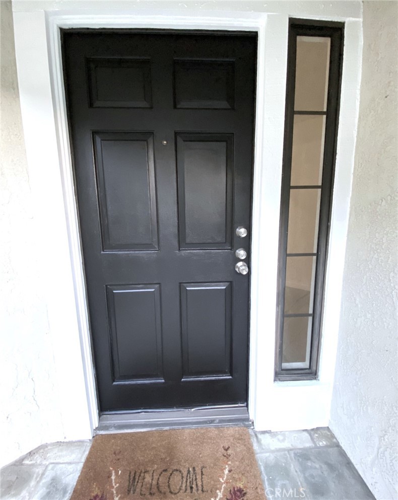Contemporary black-finish door - 14 Rainbow Lk 3, Irvine CA 92614 - photo 42