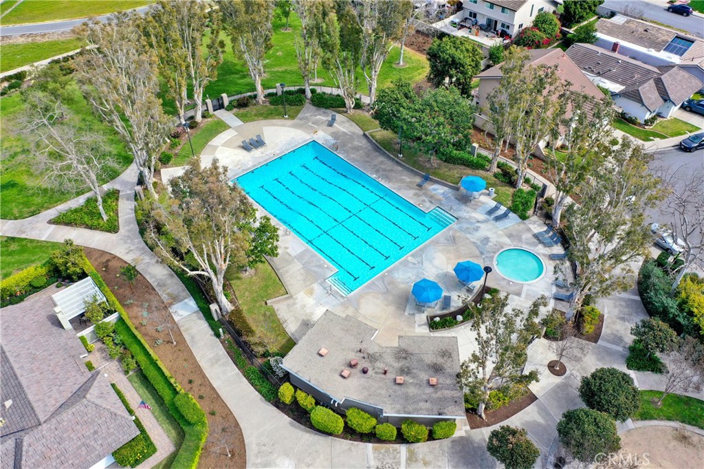 Jr Olympic Pool - 15 Snapdragon 8, Irvine CA 92604 - photo 14