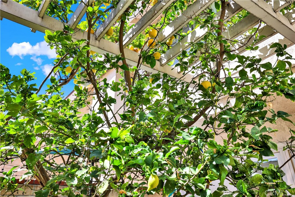 15 Snapdragon 8, Irvine CA 92604 - photo 17