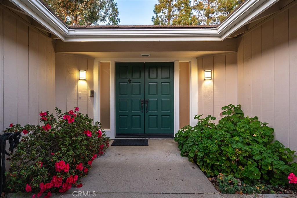 Double Door Entry - 17 Rippling Stream, Irvine CA 92603 - photo 5