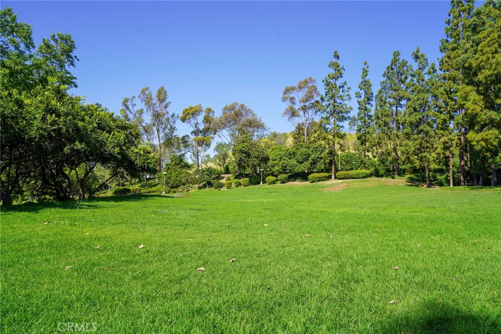 HOA Park - 17 Rippling Stream, Irvine CA 92603 - photo 59