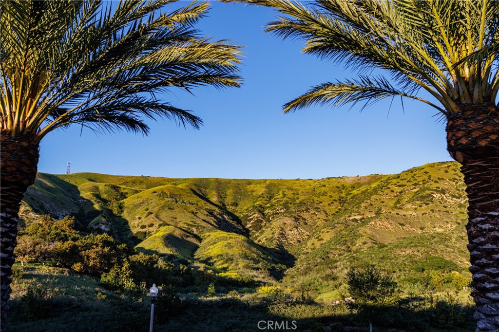 Rear Views - 170 Leafy Pass, Irvine CA 92602 - photo 56
