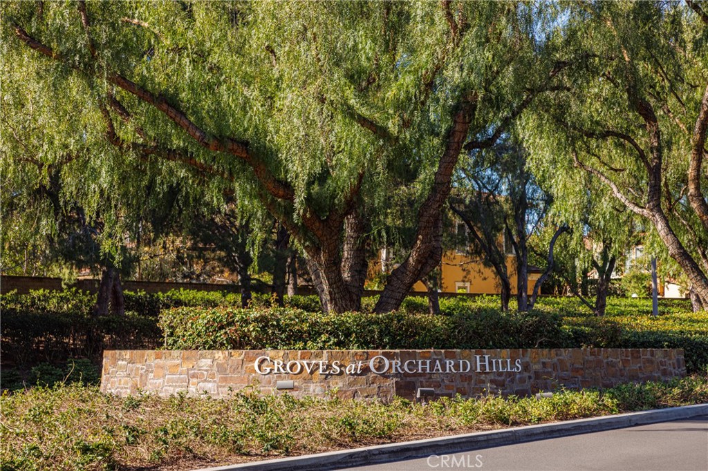 Gated Entry - 170 Leafy Pass, Irvine CA 92602 - photo 62