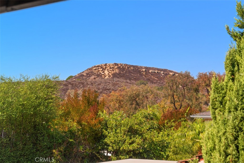 19361 Sierra Perla, Irvine CA 92603 - photo 32