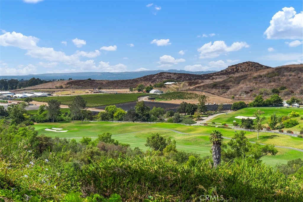 21 MIRADOR, Irvine CA 92612 - photo 3