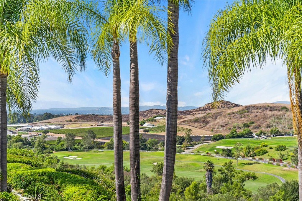 21 MIRADOR, Irvine CA 92612 - photo 19