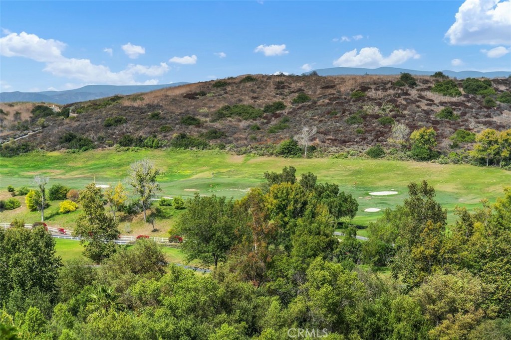 21 MIRADOR, Irvine CA 92612 - photo 20