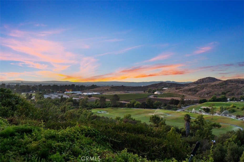 21 MIRADOR, Irvine CA 92612 - photo 34