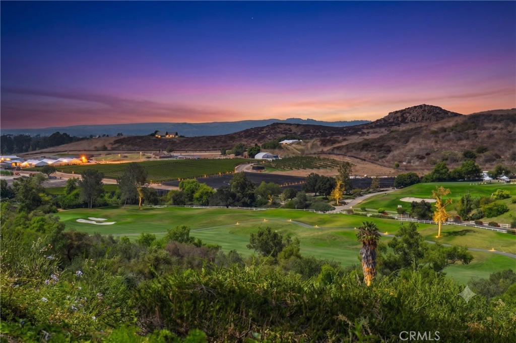 21 MIRADOR, Irvine CA 92612 - photo 36