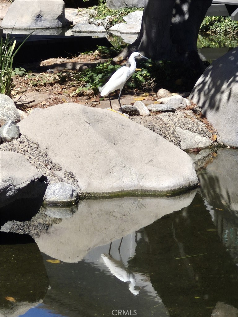 the stream - 306 Orange Blossom, Irvine CA 92618 - photo 15