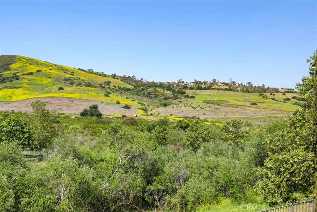 31 Black Hawk, Irvine CA 92603 - photo 31