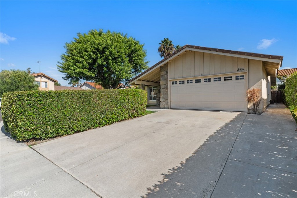 3491 Birch Street, Irvine CA 92606 - photo 3