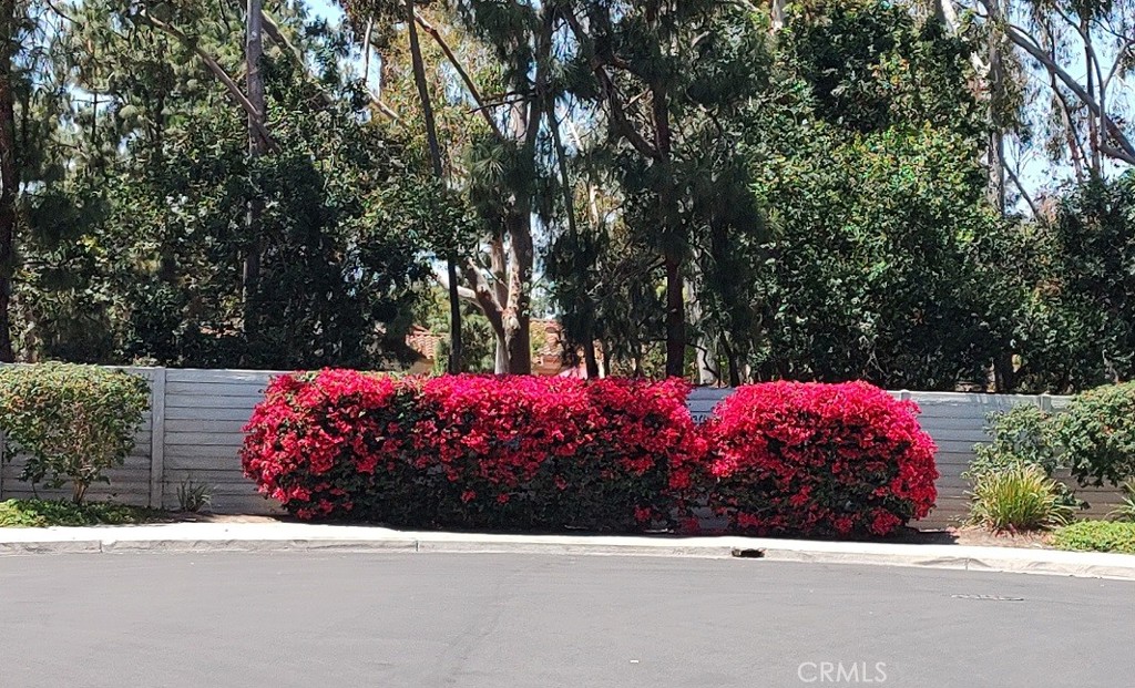 Woodleaf Welcoming Bougainvillea - 36 Woodleaf, Irvine CA 92614 - photo 35