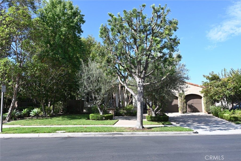 41 Shady, Irvine CA 92603 - photo 1
